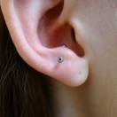 Tragus 2